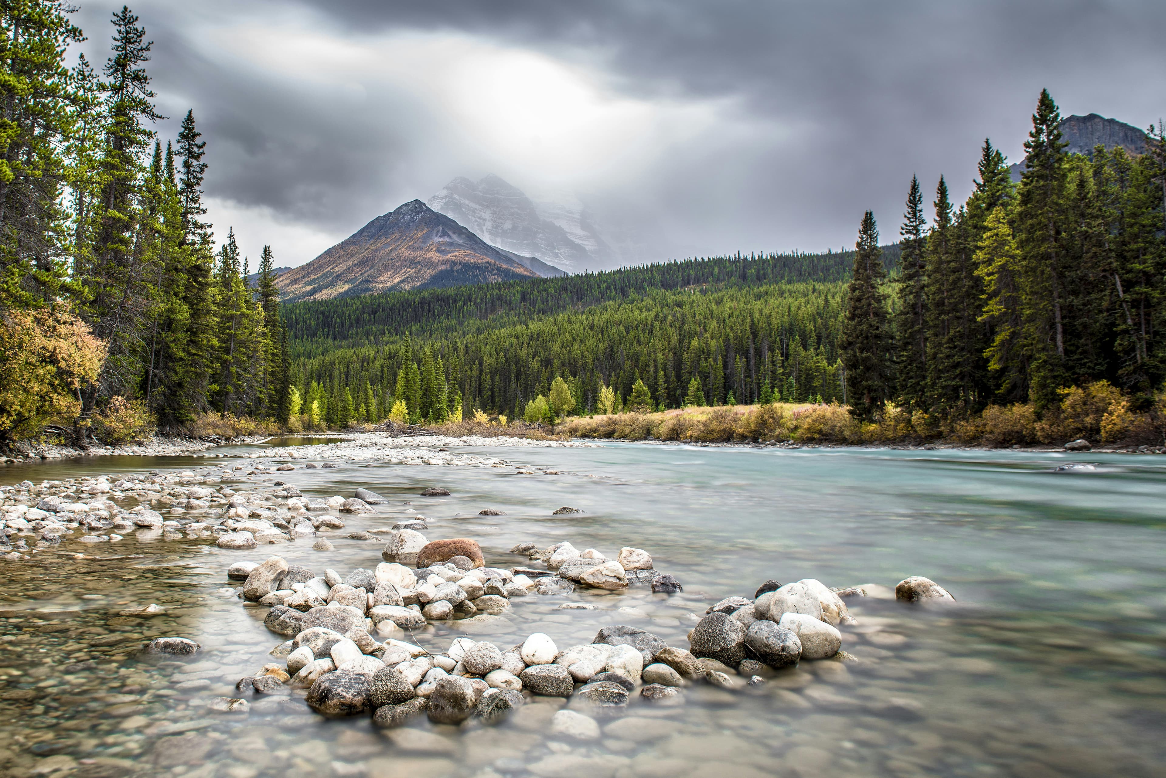 The Bow River